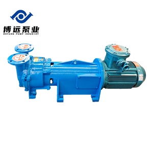 <span class=keywords><strong>Pompe</strong></span> à vide à anneau liquide séparée BOYUAN PUMP série 2BV6, basse pression, en acier inoxydable et fer, pour l'industrie chimique - Product Image 1