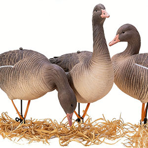 Señuelos de Ganso de Espuma EVA/XPE, Personalizados, de Tamaño Real, con Múltiples Poses, para Caza de Gansos, Decoración Flotante para Exteriores, Paisajes Acuáticos - Product Image 4