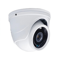 Lentes de Visión Nocturna CMOS Mini OEM ODM con LED IR, Alta Sensibilidad, para Sistemas de Seguridad Interiores y Exteriores, Blanco y Negro