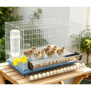Jaula Portátil Reforzada Galvanizada para Recolección <span class=keywords><strong>de</strong></span> Huevos <span class=keywords><strong>de</strong></span> Aves <span class=keywords><strong>de</strong></span> Corral para Operaciones Comerciales <span class=keywords><strong>de</strong></span> Avicultura - Product Image 2
