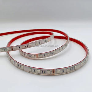 Tira de Luces LED RGB de Siete Colores al por Mayor, Tira de Luces LED Inteligente para Techo con Clasificación de Impermeabilidad LP68 - Product Image 1