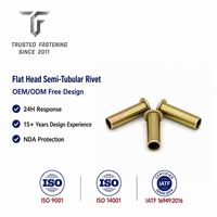 Rivets semi-tubulaires à tête plate en laiton TianFang pour boîtiers de compteurs, nickelés, fabrication OEM ODM fiable