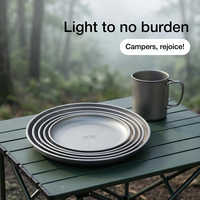 Titanium Zuiveringsplaat Outdoor Picknick Servies Dienblad Fruitsalade Creatieve Home Titanium Plaat voor gebruik in de keuken