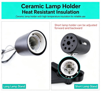 Lampe chauffante pour reptiles, tortues, lézards, UVA + UVB, complément de calcium, éclairage multidirectionnel