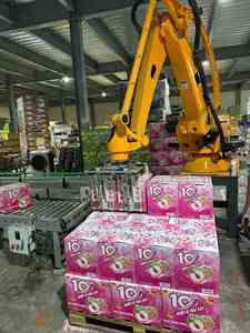 Robot de palettisation industriel à 6 axes avec une charge utile de 80 kg et une portée de 2200 mm - Product Image 5