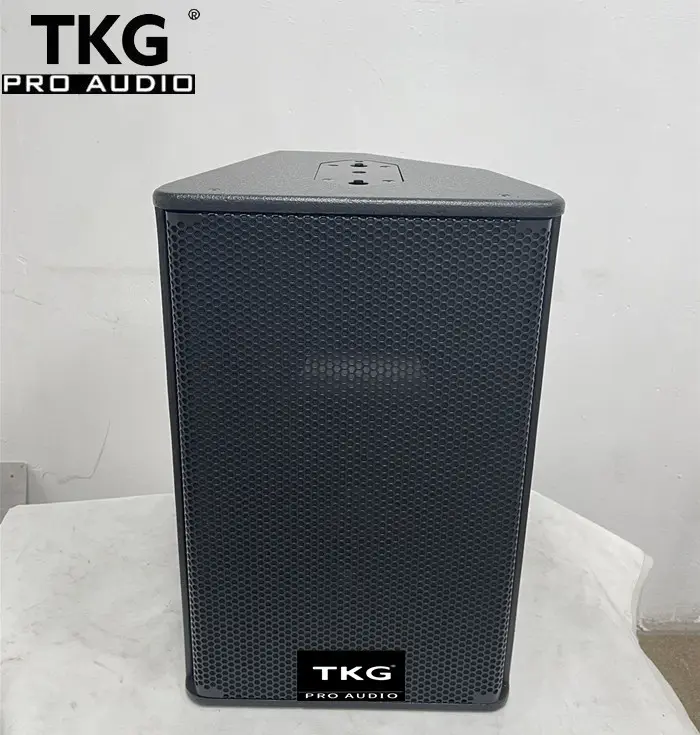 Tkg 450W 12 Inch Ps12 12 Inch Full Range Luidsprekergeluidssysteem Profesional Audio