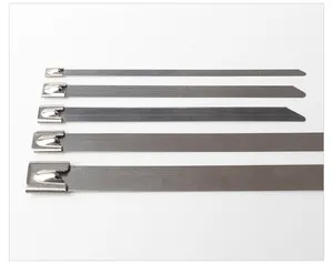 Ss Heavy Duty Stainless Steel Cable Box Zip Ties