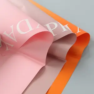 Stok MOQ30 özel 20 sheets/opp torba baskılı Logo hediye çiçek ambalaj kağıdı giyim doku kağıt