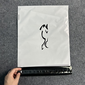 Sacs de fret aérien personnalisés logistique postale compostable <span class=keywords><strong>colis</strong></span> de vêtements emballage postal scellé en plastique poly enveloppe postale - Product Image 2