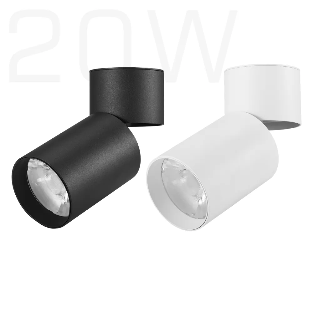 Projecteur à faisceau étroit Anti-éblouissement, 20W, 2 pièces, éclairage inférieur, Spot lumineux à LED COB monté en Surface