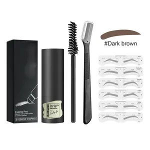 Wholesale Powder Makeup Long Lasting Eyebrow Stamp Shaping Kit With 10 Reusable Eye Brow Stencils