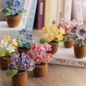 Mini-bassin tressé à la main DIY pour plantes, en fil crocheté, ornement de bureau, cadeau personnalisé pour la Fête des Enseignants - Product Image 2