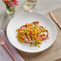 Assiettes et plats en mélamine blancs incassables pour la restauration en gros – Vaisselle ronde pour steak