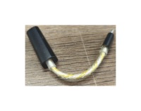 Dongle DAC AMP portable filaire avec câble tressé or et argent, connecteur Type C en métal mat, prise casque équilibrée, décodage sans perte HiFi