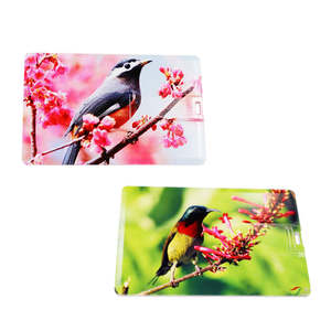 AbsUsbフラッシュドライブカードUsbフラッシュドライブ128MBから64GBプラスチックカードusbクラシックプロモフラッシュメモリカード - Product Image 3