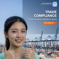 Agent d'expédition FCL expert de Shenzhen vers les États-Unis, l'Italie, le Canada, l'Allemagne, le Royaume-Uni, la France - Palettisation, logistique, transit de marchandises