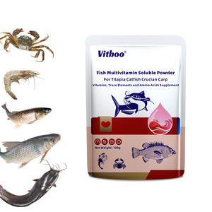 Vitboo Aliment Aquatique pour Tilapia 4% Prémélange pour Poisson Aliment pour Silure pour la Croissance Aliment OEM Complément Nutritionnel pour Poissons - Product Image 3