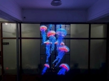 Pantalla LED Transparente de Gran Ángulo de Visión para Fachada de Tienda - Product Image 5