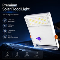 Reflector Solar de Alta Eficiencia 185LM/W, 20W-60W, Batería LiFePO4, Lente Tipo Ala de Murciélago, para Jardín, Parque, Cancha Deportiva, IP66