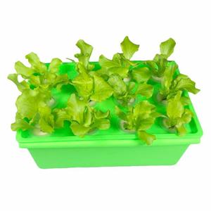 Hydroponics system commercial farming small planting boxs grow kits