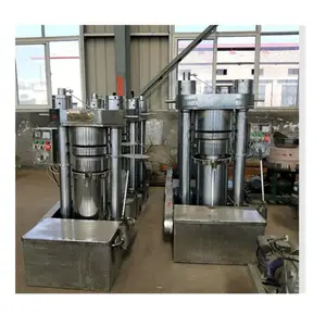 Machine hydraulique de presse d'huile de noix de coco de fabricant d'huile d'arachide de sésame de graine de lin de petite échelle de vente chaude