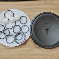 Suku Cadang Pompa Asli Wilden Wet Kit untuk Wilden P1, Diafragma PTFE dan Karet, Katup Bola dan O Ring Tersedia