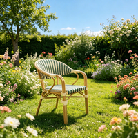 Chaise Commerciale Confortable de Style Français en Rotin Tressé Empilable en Aluminium pour Extérieur, Mobilier de Restaurant et de Terrasse Toutes Saisons