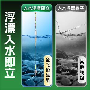 Conjunto de línea de pesca All Fly Lead de 7.2m-10m, monofilamento de nailon con peso concentrado para pesca en estanques y lagos de peces grandes. - Product Image 4