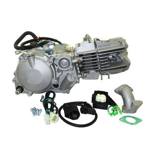 Moteur <span class=keywords><strong>Anima</strong></span> 190FDX 190cc Daytona 4 soupapes sans système d'éclairage - Product Image 2