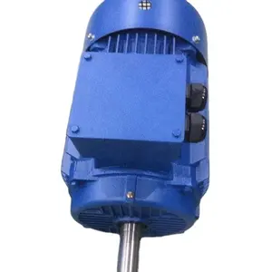 YE3 315L2 2 200 Kw 3 Fase Eekhoorn Kooi Asynchrone Motor