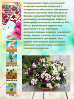 5 Kit de plantes de paquet de truie de jardin de fleurs de pétunia traînantes naturelles belles truies de jardin de fleurs suspendues pour la plantation de sols en utilisant