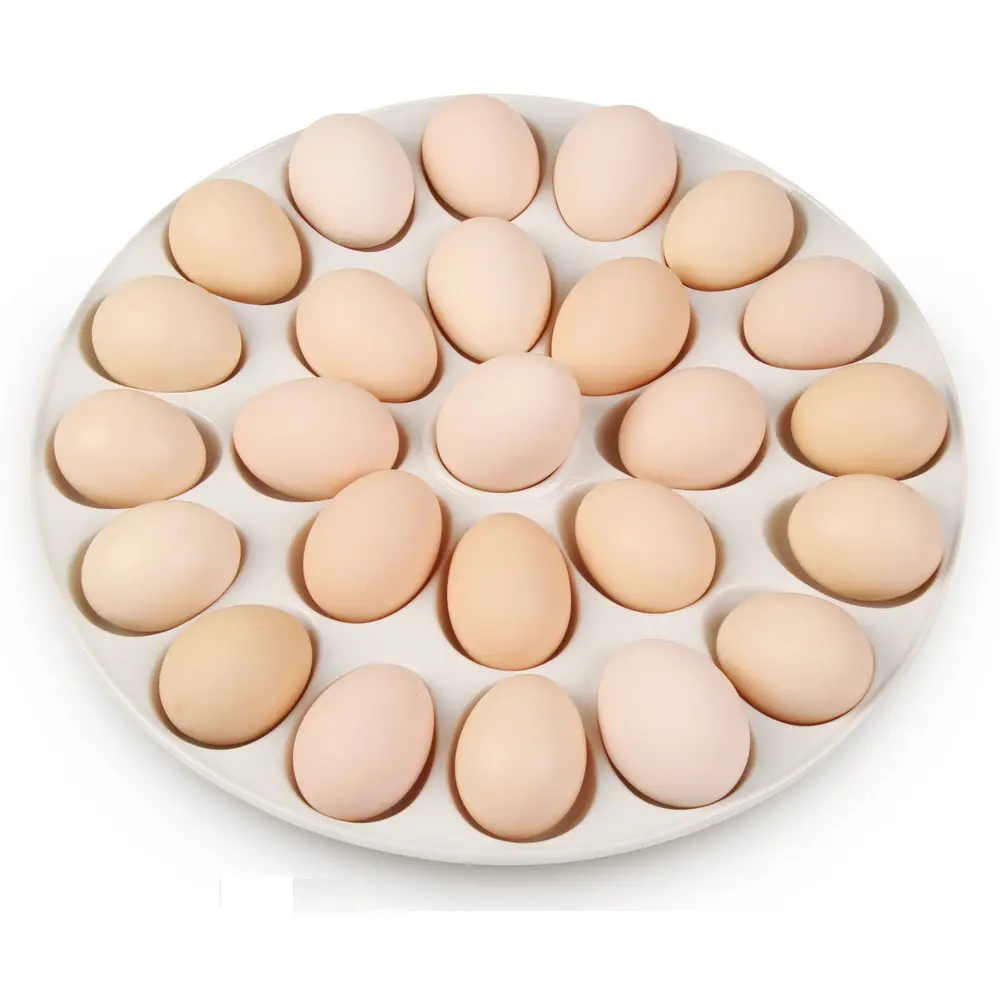Plateau à œufs rond en porcelaine, accessoires de cuisine, plateau à œufs en céramique, conteneur de stockage
