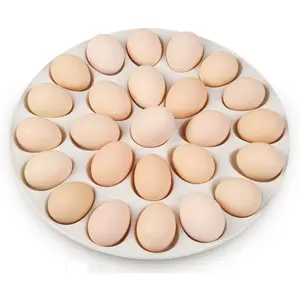 Pabrik Penjualan Teratas Aksesoris Dapur Porselen Bulat Piring Saji Telur Nampan Keramik Wadah Penyimpanan Pemegang