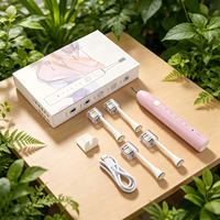 Vente en gros de brosses à dents électriques intelligentes de haute qualité OEM/ODM, blanchissantes, portables, kit de voyage, brosse à dents électrique