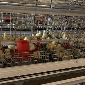 5000 chim gà thịt gia cầm trang trại tự động pin H khung gà lồng Điều kiện Mới nhúng nóng mạ kẽm lớp thép lồng - Product Image 5