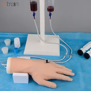 IV练习手套件，带硅胶注射训练IV手进行放血职业训练