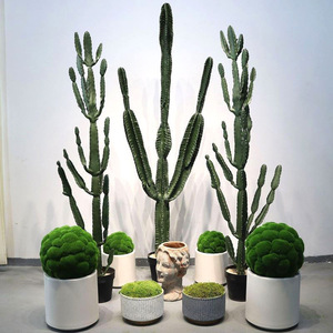 Gran <span class=keywords><strong>cactus</strong></span> verde árbol de plástico planta en maceta Micro arreglo de paisaje para decoración de interiores conjunto paisajismo - Product Image 4