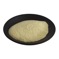 Poudre de probiotique Lactobacillus Paracasei de qualité alimentaire, matière première probiotique lyophilisée pour complément alimentaire