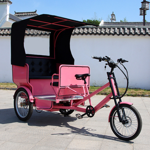 Tricycle à pneus larges pour adultes, vélo cargo familial, tricycle adulte, véhicules de tourisme urbain, vélo-taxi à pédales, rickshaw électrique - Product Image 2