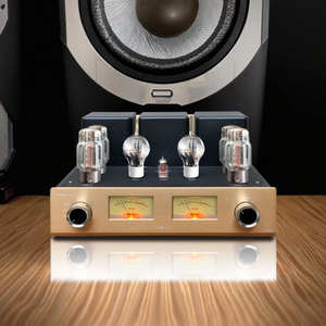 Nuovo Amplificatore a Valvole Mona 256, Ricevitore Audio Professionale per Casa e Altoparlante, Stile Classico Senza Perdita <span class=keywords><strong>di</strong></span> Qualità per Karaoke - Product Image 1