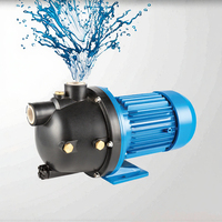 Pompe à jet électrique haute pression auto-amorçante pour jardin, corps en fonte, moteur en alliage d'aluminium, 1 pouce, OEM