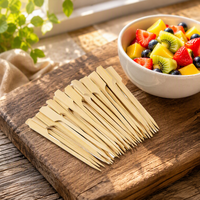 Brochettes en bambou brossé Newell, brochettes plates en bambou, brochettes alimentaires en bambou pour barbecue, restauration et usage extérieur