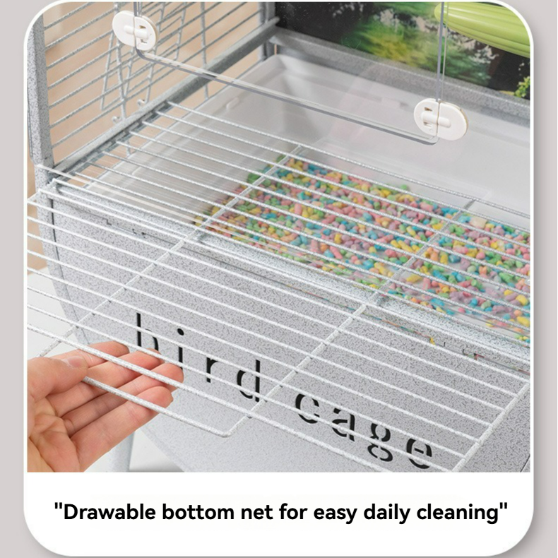 european jayant curtonic koail bird