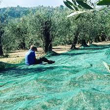 Lưới Cây Ô Liu được làm từ Polyetylen mật độ cao (<span class=keywords><strong>HDPE</strong></span>) với trọng lượng vải là 80gsm. - Product Image 3