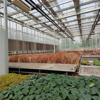 Serre en verre moderne pour jardin, cour arrière et culture commerciale de plantes, structure en aluminium durable et panneaux en verre transparent
