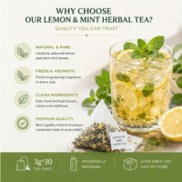 Groothandel Natuurlijke Pepermunt IJsthee voor de Zomer, Vitamine C Boost, Verfrissende Citroen Pepermunt Cold Brew Thee Zakjes