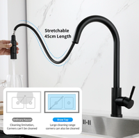 Robinet télescopique de lavage chaud froid de robinet de cascade de pluie de cuisine professionnelle pour l'évier