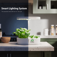 Système de culture intelligent pour mini pépinière de plantes d'intérieur Petite boîte de culture amovible Système hydroponique d'intérieur pour la maison avec lumière de culture