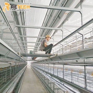 Năng lượng mặt trời Powered tự động đẻ gà mái pin lồng gia cầm trang trại thiết kế trong Ghana - Product Image 4