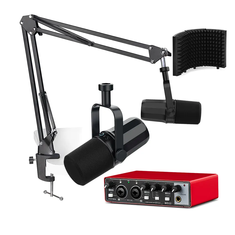 OEM Peralatan Studio Rekaman Musik Mikro Podcast USB XLR Bundel Mikrofon Dinamis dengan Antarmuka Audio Kartu Suara Carte Son